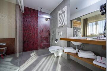Фото номера Двухместный номер с 1 кроватью и видом на горы Отель Hotel Kopieniec Fizjo- Med &amp; SPA г. Мужасихле 10