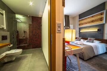 Фото номера Двухместный номер эконом-класса с 1 кроватью Отель Hotel Kopieniec Fizjo- Med &amp; SPA г. Мужасихле 2