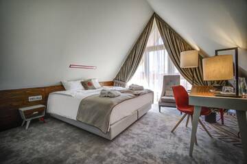 Фото номера Двухместный номер с 1 кроватью и видом на горы Отель Hotel Kopieniec Fizjo- Med &amp; SPA г. Мужасихле 7