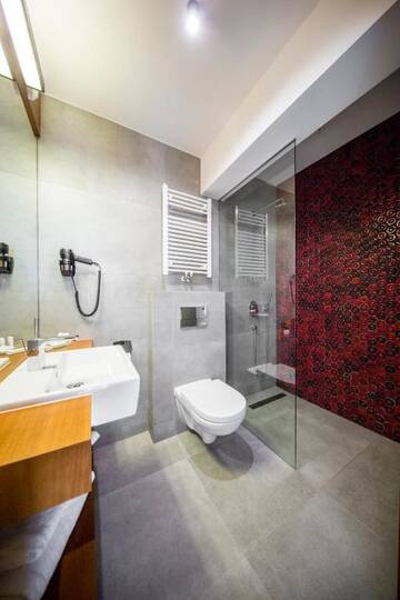 Фото номера Люкс с видом на горы Отель Hotel Kopieniec Fizjo- Med &amp; SPA г. Мужасихле 3